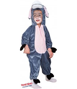 Costume di carnevale CIUCHINO